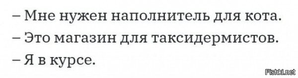 Хозяйка спрятала торт на холодильник, чтобы кот не садился на него