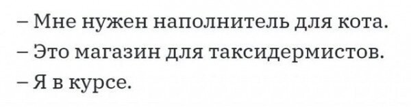 Хозяйка спрятала торт на холодильник, чтобы кот не садился на него