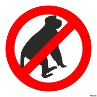 В Петербурге суд назначил штраф азербайджанцу за оскорбление христиан и нападение на полицейских