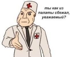 Давка, панические атаки и ОМОН. У "Большого театра" продолжается "битва" за билеты на балет "Щелкунчик"