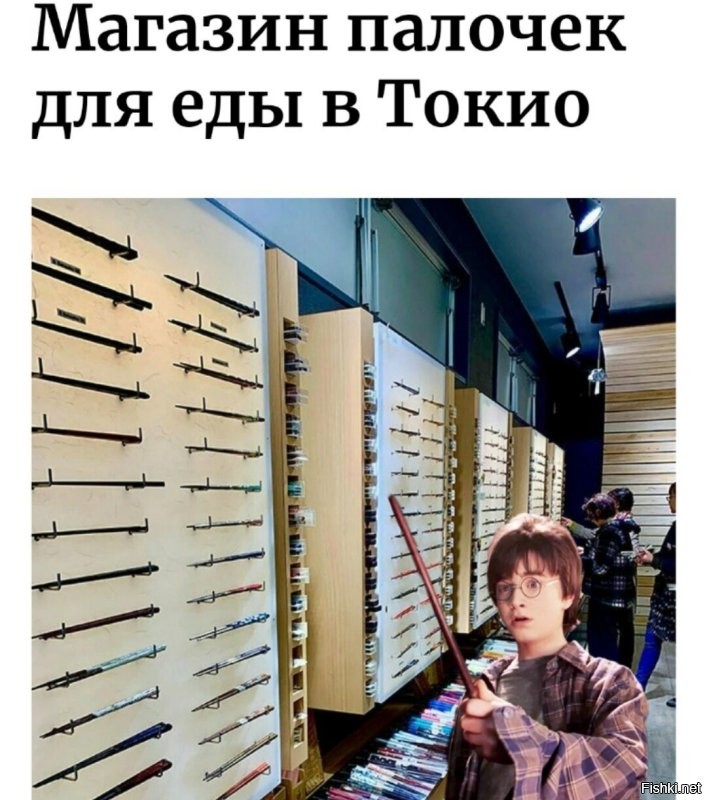 Прокуратура Московской области запретила "Хогвартсу" называться университетом
