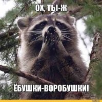 Прикольные и не очень картинки с комментариями из соц. сетей