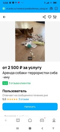 Реальное объявление на Авито было. Могу ссылку скинуть.