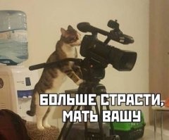 Накал страстей на уровне голливудского блокбастера