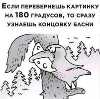 Комментарии и картинки из соцсетей. Свежак за 11 ноября