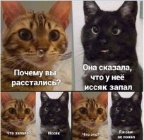 Сморщенные, но милые моси