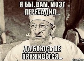 В Китае решили постепенно заменить пластмассу бамбуком