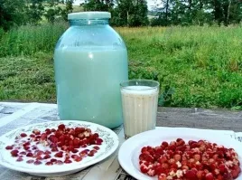 Вот блин слюна то до пола и отвисла!! Это не земляника, а дикая клубника! Вкуснятина необыкновенная с фантастическим ароматом! Парное молочко в тему!