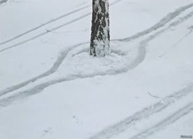 ФотоВсячина