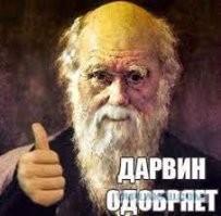 Водой? Проводку?