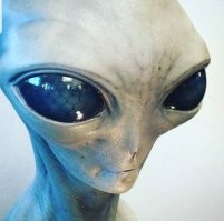 «Похожа на куклу из секс-шопа»: в Кемеровской области отметили день рождения героини популярного мультфильма и к школьникам пришло вот такое чудо