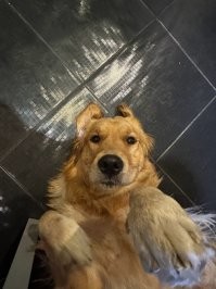 моя мышандра)