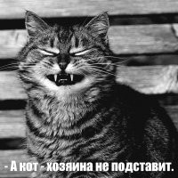 «Собака – лучший друг человека»: обстоятельства появления этой фразы