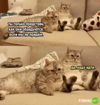 Вечерний улыбатор