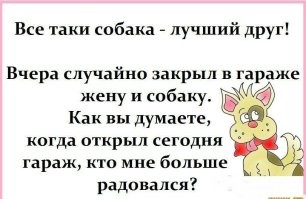 «Собака – лучший друг человека»: обстоятельства появления этой фразы