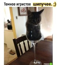 Комментарии и картинки из соцсетей. Свежак за 14 ноября