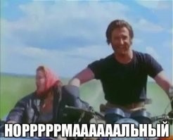 Скрины из соцсетей&nbsp;