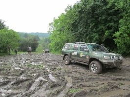 понторезка,
а вот машина