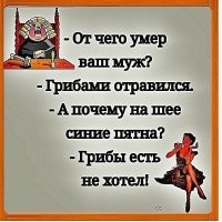 Пирог для бывшего и проблемы для всех