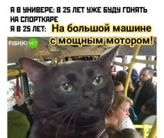 Комментарии и картинки из соцсетей. Свежак за 15 ноября