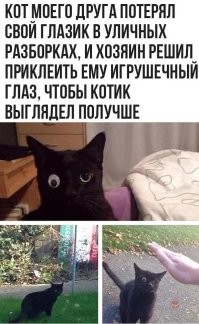 Не ищите здесь смысл. Здесь в основном маразм