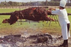 Бык атаковал автомобиль и оторвал дверь