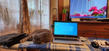 Удалёнщики — люди, которые буквально живут на работе