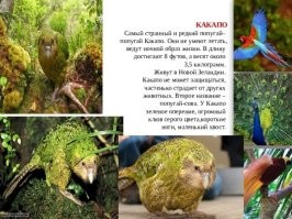 Какапыч, ты давай, береги себя!!!