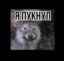 На вопрос о смысле я:stinker: ...