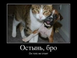 Продолжаем барражировать соцсети