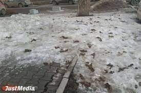 Хе.. Если бы газоны.. Когда снег тает,в говне вообще всё. И тротуары,и детские площадки и парковки и прочие места,которые были под снегом..
