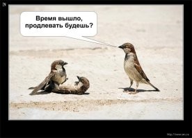 Почему китайскому императору заниматься любовью  с наложницами разрешалось не более 30 минут?