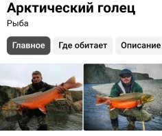 Испортился, видать лежал долго.
