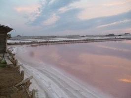 подобное место есть в крыму, рядом с евпаторией