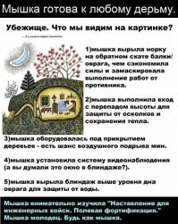 На самом деле достаточно опасная такая землянка. Потолок ничем не укреплен и есть вероятность что вся эта земля может неплохо так присыпать. А вообще нужно учиться у мышки. Берите на заметку! :)