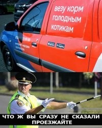 В Кемерове домашний питомец спас хозяина-дебошира от срока на зоне