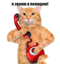 Воскресный улыбатор