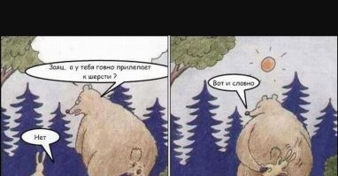 Моются те, кому чесаться лень: новое увлечение вызывает опасение у врачей