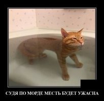 30 кошек, которые сломались и начали функционировать неправильно