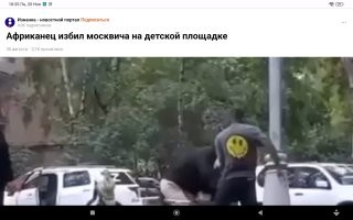 Ну да,они просто божьи одуванчики.Могу ещё сотню накидать.Как же вы скоты надоели,заступники черножопых.