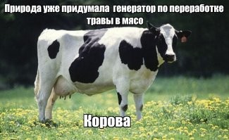Нет существа двуличнее на свете, чем экоактивист в неотапливаемой квартире