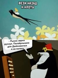 Каждая содержанка должна окончить экономический факультет. Минимум.