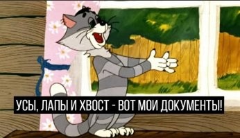 Не ищите здесь смысл. Здесь в основном маразм