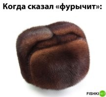 Времена, когда от котиков тоже была польза

- Игорь Владимирович, вы почему не рассказали, что вы сидели?
- Сашенька, Господи, та что ж я там сидел-то. Четыре года. Тьфу.
- За что?
- Это интересная история. Я по пыжику работал.
- По пыжику?
- Помните были такие пыжиковые шапки?
- Ну да, конечно.
- А, из чего их делали?
- Из пыжика.
– Правильно. А кто такие пыжики?
- Ну, что-то навроде выдры, наверное.
- Вот, все так думают, а никто не знает. Мы из кошек делали.
- А, так вам же, должны были лет 8 дать.
- Так, а мне и дали, лет 8...

(с) "День Выборов"