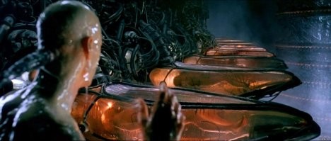 Парень пытался доказать, что мы живём в симуляции, но породил кучу шуток в сети