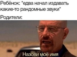 Комментарии и картинки из соцсетей. Свежак за 51 октября