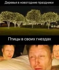 Комментарии и картинки из соцсетей. Свежак за 51 октября