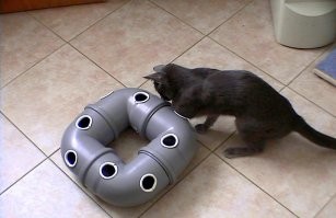 Самое главное применение забыли. Котики - наше все.