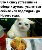 "на обеде", блд! Ужинаю на работе!