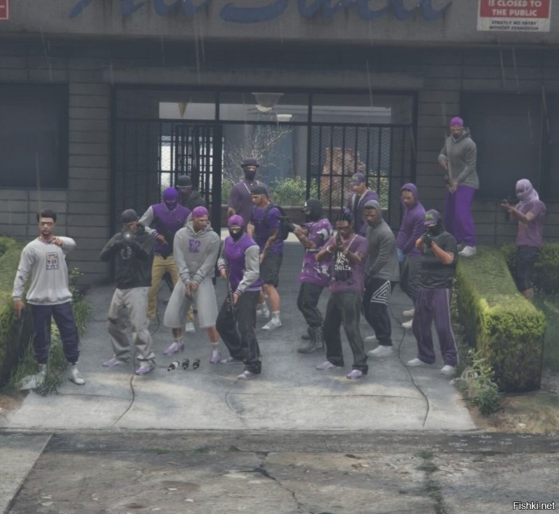 У банды баллас фиолетовый, страны у них нету, но зато куча районов